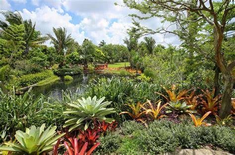 Orlando's Green Oasis: Exploring the Eco-Friendly Village Gardens